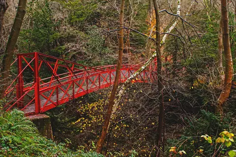 Photo of Castle Eden Dene, a gorge near Horden, County Durham, north east England.