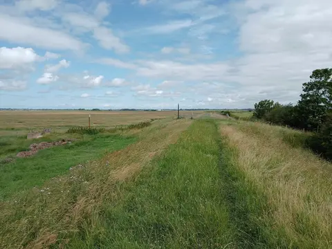 Photo along the Ribble Way, a 70-mile long-distance path running from Longton to Ribblehead, England.