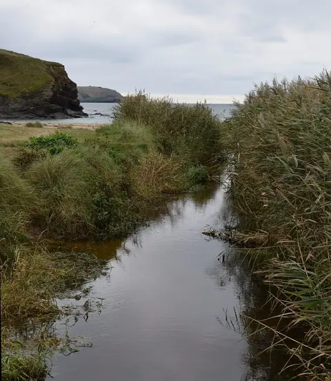 Photo of Church Cove, a swimming spot near Mullion, Cornwall, south west England.