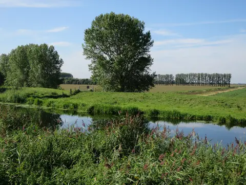 Photo of the River Lark, a river navigation running from Ely Ouse junction to Jude's Ferry, eastern England.