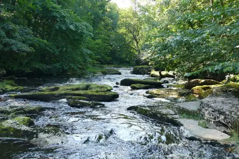 Photo of the River Eden, a 90-mile river running from Mallerstang to Solway Firth, north west England.