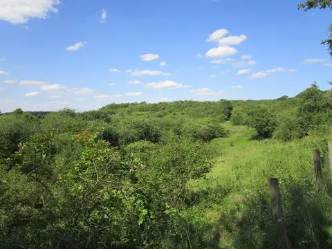 Photo of Fermyn Woods Country Park, a country park near Brigstock, Northamptonshire, central England.