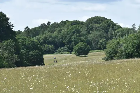 Photo of Ashton Court Country Park, a country park near Bristol, Somerset, south west England.