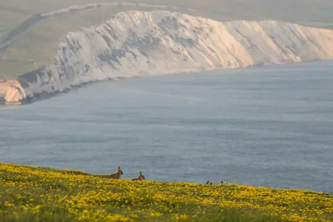Photo of the Tennyson Heritage Coast, the Isle of Wight, south east England.