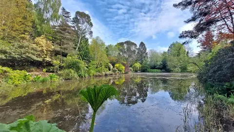 Photo of Dingle Nurseries & Garden, a garden near Welshpool, the Powys, mid Wales.