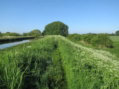 Photo along the Fen Rivers Way, a 50-mile long-distance path running from Cambridge to King's Lynn, eastern England.