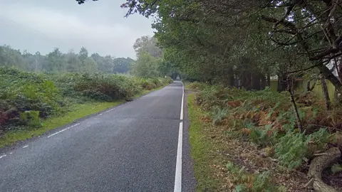 Photo of Hightown Common, a country estate near Burley in the New Forest, Hampshire, south east England.