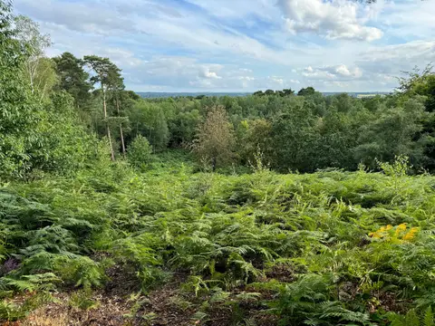 Photo of Finchampstead Ridges, a country estate near Hartley Wintney, Berkshire, south east England.