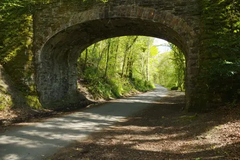 Photo of Plymbridge, a nature reserve near Plymouth, Devon, south west England.