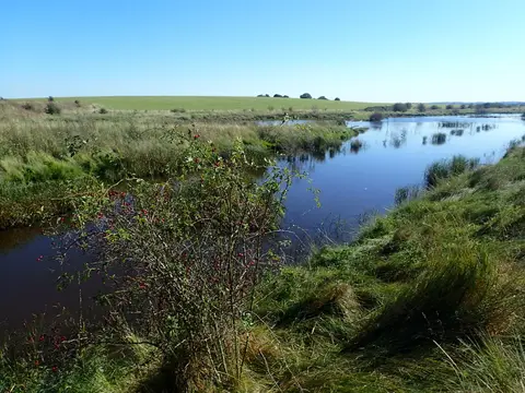 Photo of Elmley, a National Nature Reserve near Faversham, Kent, south east England.