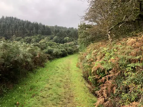Photo along the Kintyre Way, a long-distance trail running from Tarbert to Machrihanish, the Scottish Highlands and Islands.