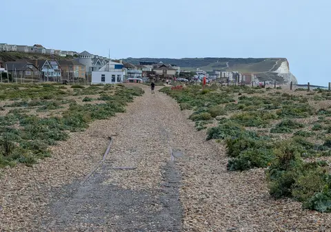 Photo along the Vanguard Way, a 66-mile long-distance path running from East Croydon to Newhaven, England.