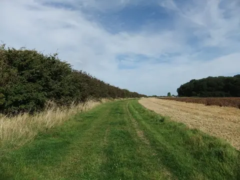 Photo: Wold Newton, a 117m hill near Tealby, Lincolnshire, central England.