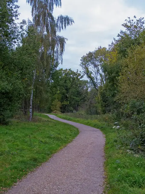 Photo of Warley Country Park, a country park near Brentwood, Essex, eastern England.