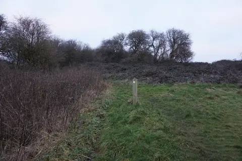 Photo: Turner's Hill, a 271m hill near Birmingham, the West Midlands, central England.