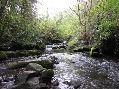 Photo of Clydach Gorge, a gorge near Llangattock in Bannau Brycheiniog, Monmouthshire, south east Wales.