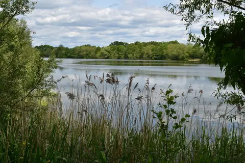 Photo of Dinton Pastures Country Park, a country park near Sonning, Berkshire, south east England.