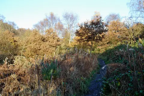 Photo of Ulley Country Park, a country park near Rotherham, South Yorkshire, northern England.