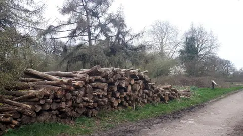 Photo of Horton Country Park, a country park near Mickleham, Surrey, south east England.