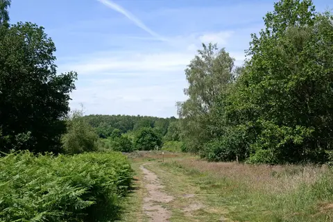 Photo of Highgate Common Country Park, a country park near Kinver, Staffordshire, central England.