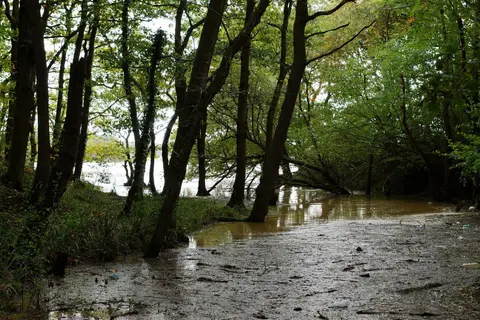 Photo of River Hamble Country Park, a country park near Bursledon, Hampshire, south east England.