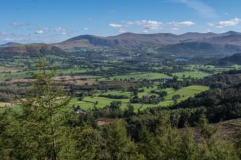 Photo of Whinlatter Forest Park, a country park near Thornthwaite in the Lake District, Cumbria, north west England.