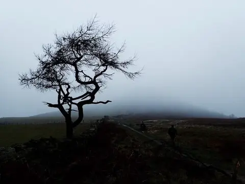 Photo of Roseberry Common, a country estate near Middlesbrough in the North York Moors, North Yorkshire, northern England.