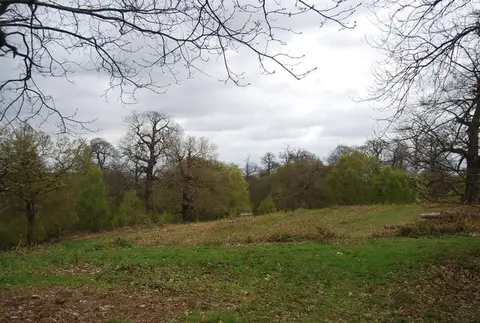Photo of Cobham Woods, a Site of Special Scientific Interest near Rochester, Kent, south east England.
