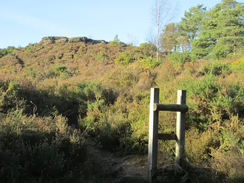 Photo: The Devil's Jumps, a viewpoint near Thursley, Surrey, south east England.