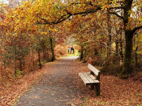 Photo of Queen Elizabeth Forest Park, a visitor attraction near Aberfoyle in Loch Lomond & The Trossachs, Stirling, central Scotland.