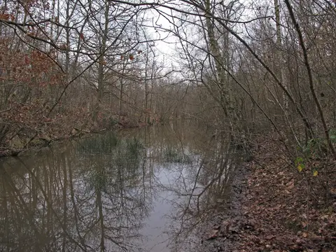 Photo of Beacon Wood Country Park, a country park near Eynsford, Kent, south east England.