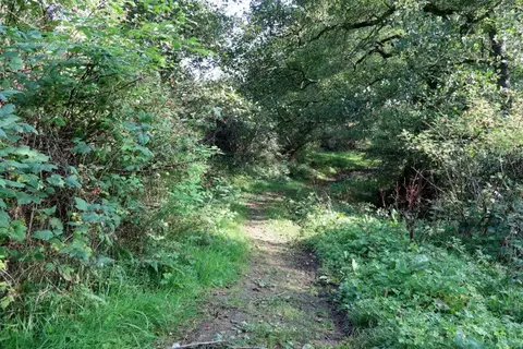 Photo along the Isaac's Tea Trail, a 36-mile long-distance path in England.
