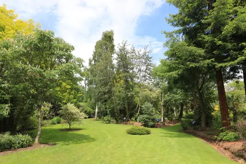 Photo of Bluebell Arboretum and Nursery, a garden near Smisby, Derbyshire, central England.