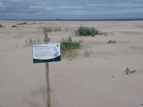 Photo of Ross Back Sands, a beach near Bamburgh, Northumberland, north east England.