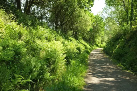 Photo along the Tarka Trail, a 180-mile long-distance path in south west England.