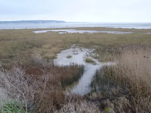Photo of the coast at Sandwich and Pegwell Bays, Kent, south east England.