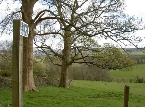 Photo along the Limestone Link, a 36-mile long-distance path running from Cold Ashton to Shipham, south west England.