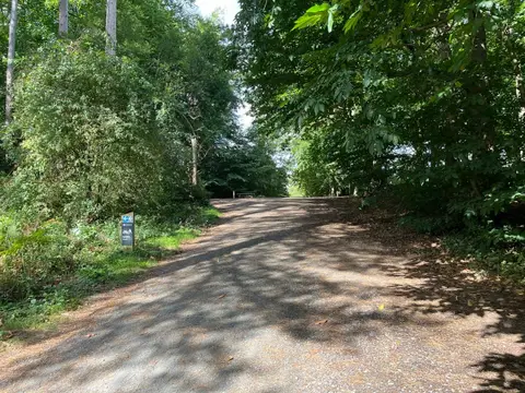 Photo of Delamere Forest, a landmark near Frodsham, Cheshire, north west England.