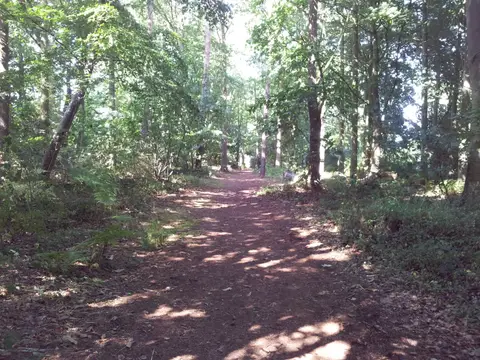 Photo of Fritton Lake Country Park, a country park near Somerleyton, Suffolk, eastern England.