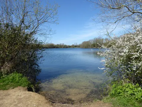 Photo of Neigh Bridge Country Park, a country park near Ashton Keynes, Gloucestershire, south west England.