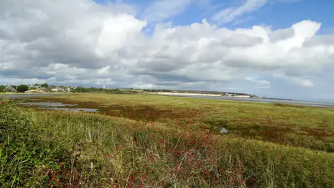 Photo of Pegwell Bay Country Park, a country park near Sandwich, Kent, south east England.