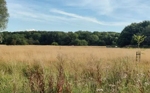 Photo of Burbage Common and Woods Country Park, a country park near Market Bosworth, Leicestershire, central England.