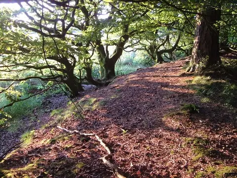 Photo of Farway Castle, the earthworks of a former castle near Sidbury, Devon, south west England.
