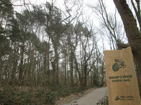 Photo of Bishops Wood Country Park, a country park near Watford, Hertfordshire, eastern England.