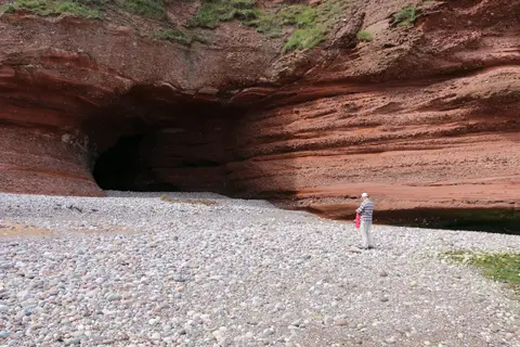 Photo of Seaton Cliffs (Arbroath Cliffs), a nature reserve near Auchmithie, the Angus, north east Scotland.
