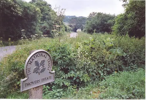 Photo of Drovers Estate, a country estate near Singleton in the South Downs, West Sussex, south east England.