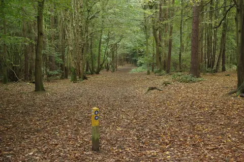 Photo of Hartshill Hayes Country Park, a country park near Astley, Warwickshire, central England.