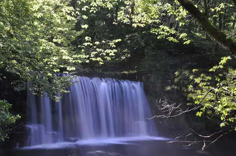 Photo of Sgwd Ddwli Isaf (Lower Ddwli Falls), a waterfall near Pontneddfechan in Bannau Brycheiniog, the Powys, mid Wales.