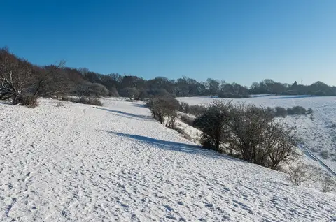 Photo: Colley Hill, a viewpoint near Reigate, Surrey, south east England.