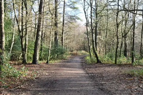 Photo of Limpsfield Common, a country estate near Godstone, Surrey, south east England.